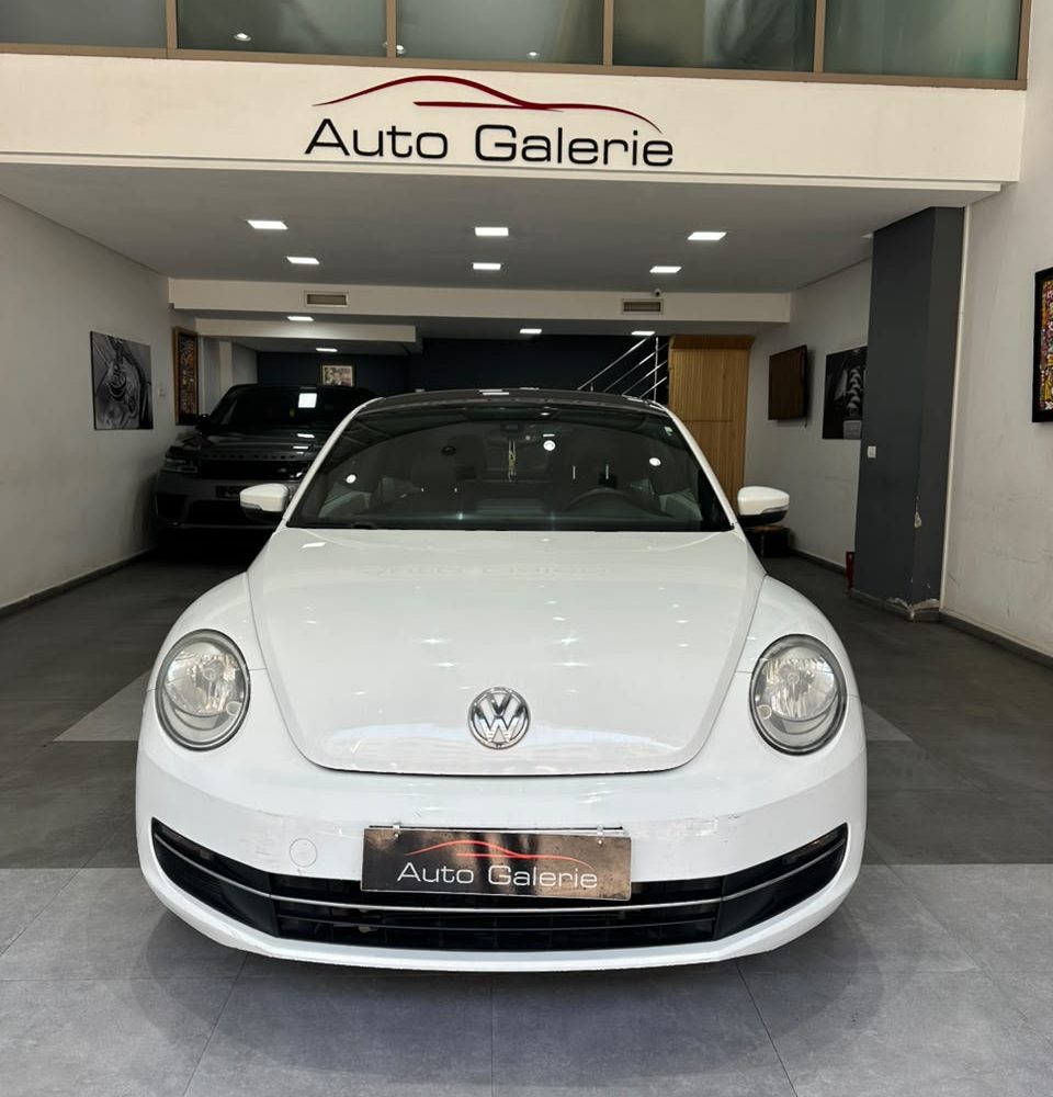 volkswagen coccinelle